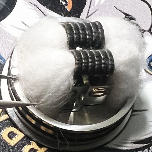 Img 20250413193446 8211