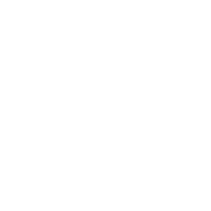 SHOGUN Brand logo 2 for mobile